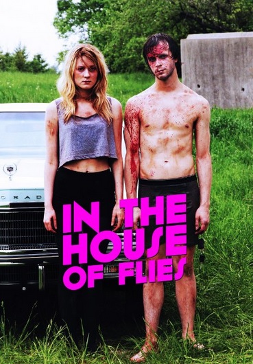 IN THE HOUSE OF FLIES